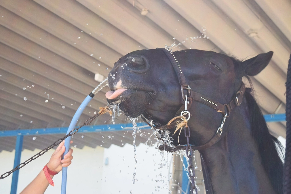 現状報告と今後の活動について