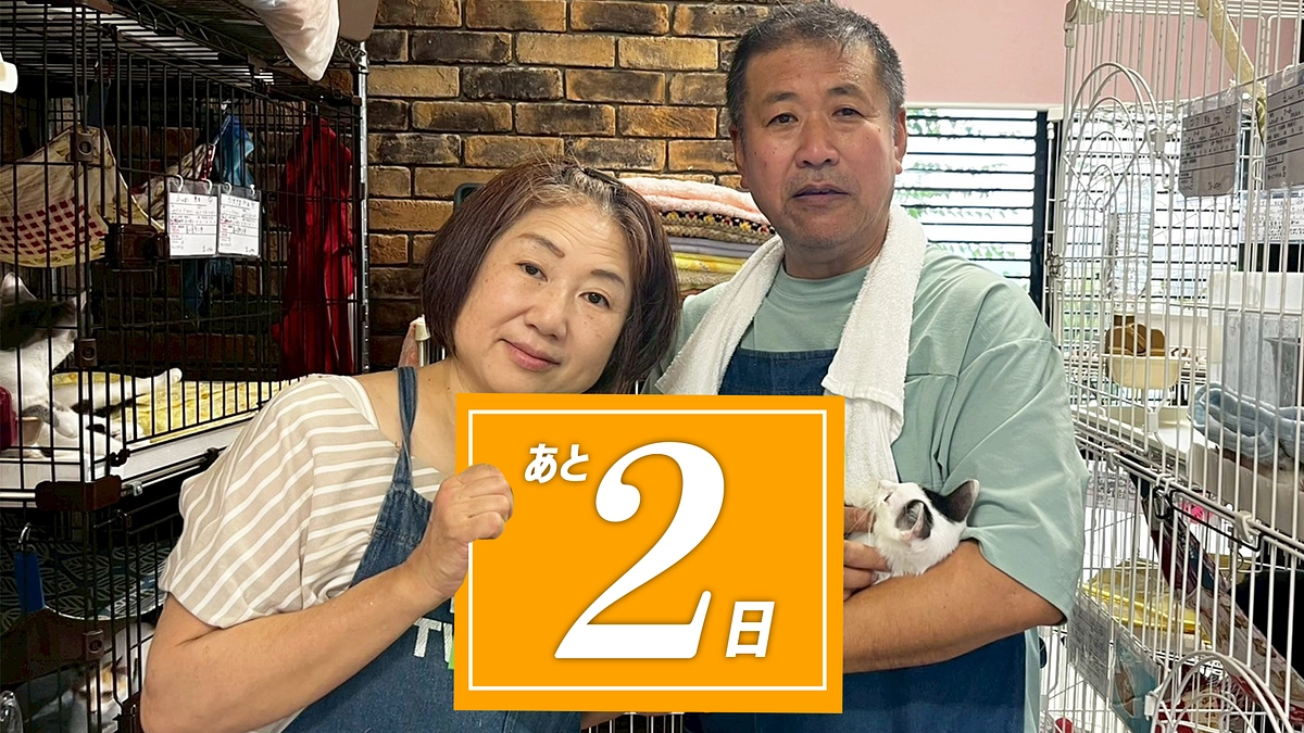 残り2日！感謝のメッセージとともに