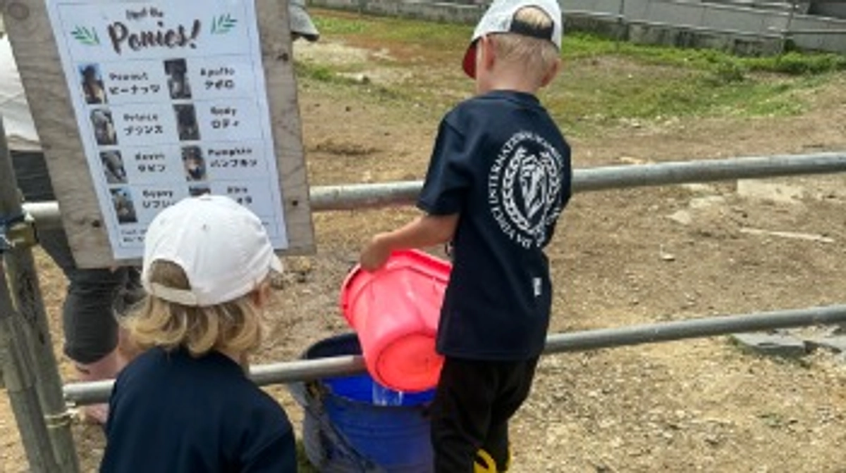 平日の牧場体験