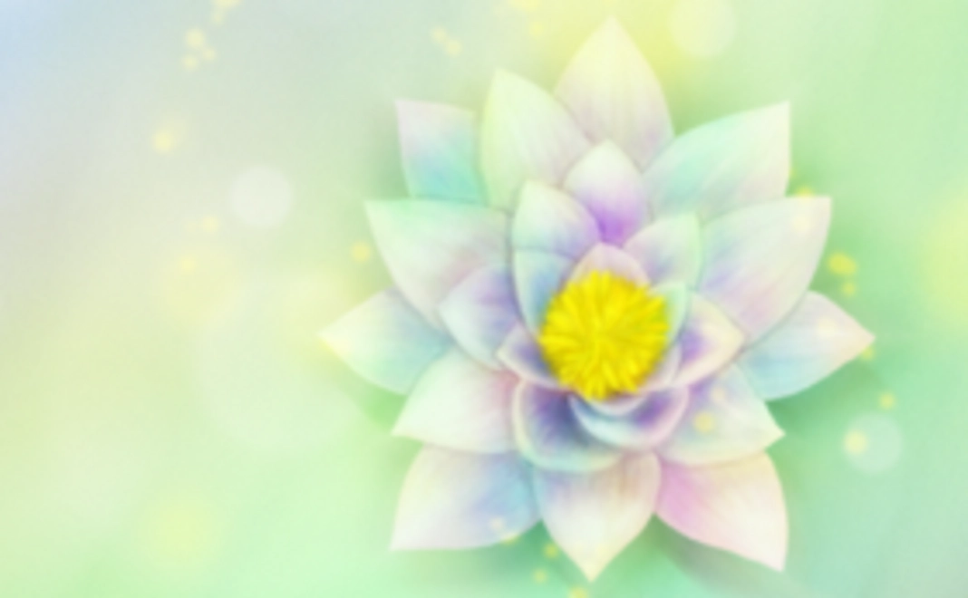 CD + ポストカード付き　応援コース