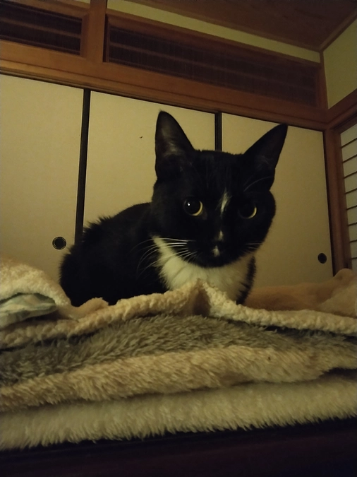 4/8はなちゃんの様子