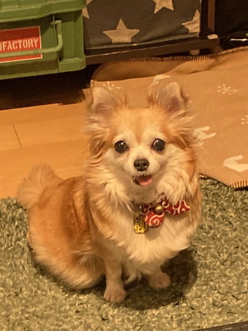 50人に達しました！