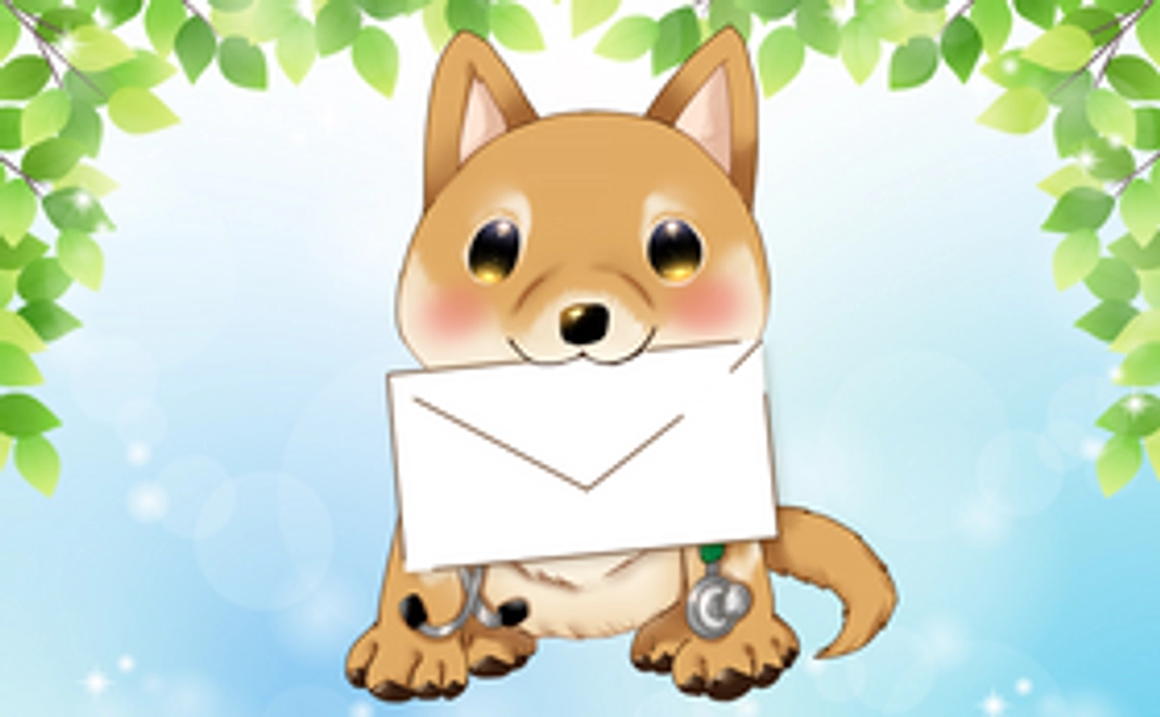 感謝のメール（3千円）