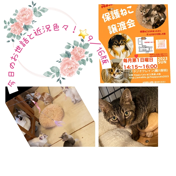 今日のお世話と近況色々！⭐️９／16版