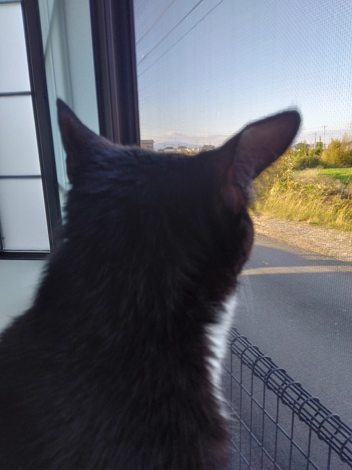 4/2はなちゃんの様子