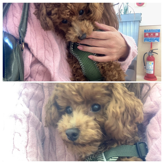 術後の診察とリターンについて