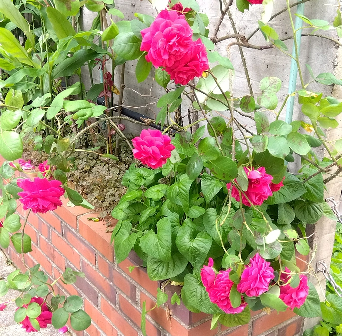 💞その節はお世話になりありがとうございました🙌💞