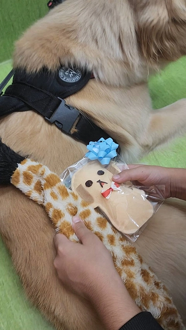 無事手術が終わりました！