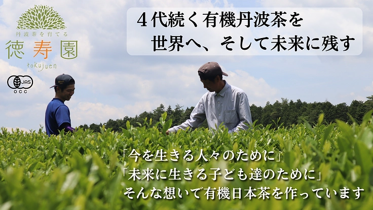 父と子で挑む！有機丹波茶を世界へ！