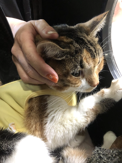 手術前に必ず伝えてきたこと