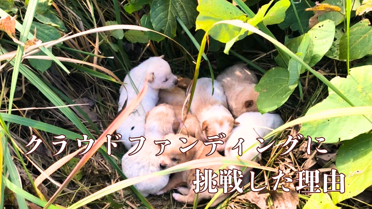 終了まであと10時間！【クラウドファンディングに挑戦した理由】  