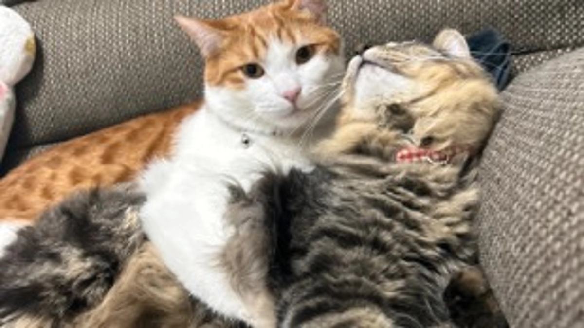 経過観察62日目