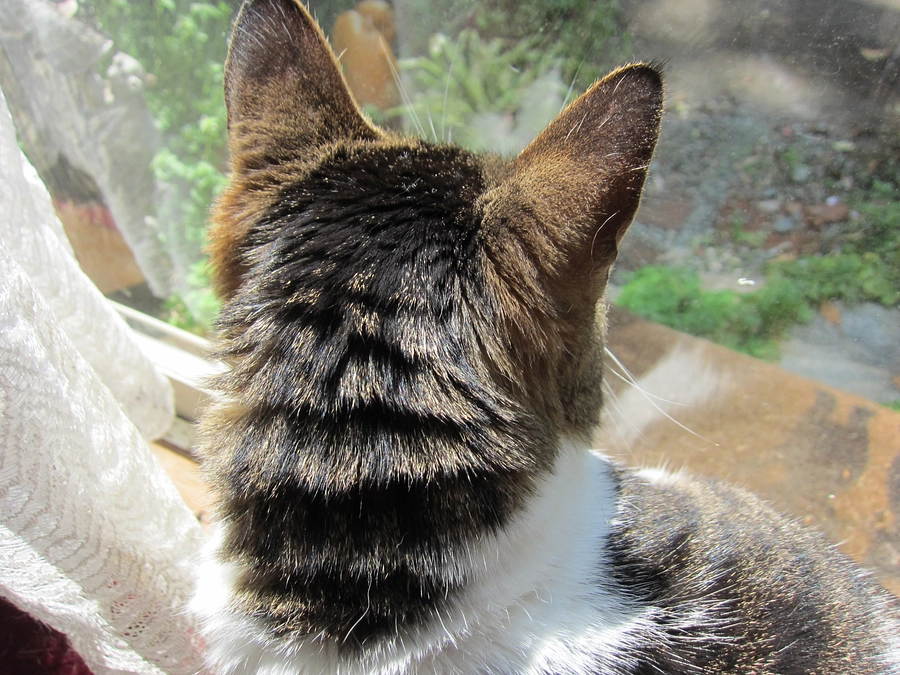 【クラウドファンディング達成】心よりお礼申し上げます