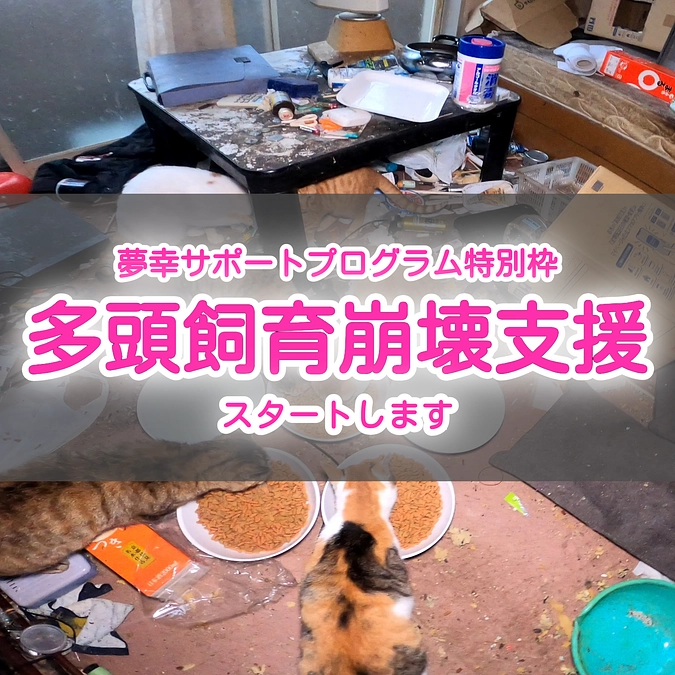 特別枠として多頭飼育崩壊支援を始めます！