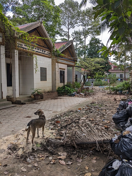 助けが必要な犬たちやその飼い主がいるか、民家をパトロール