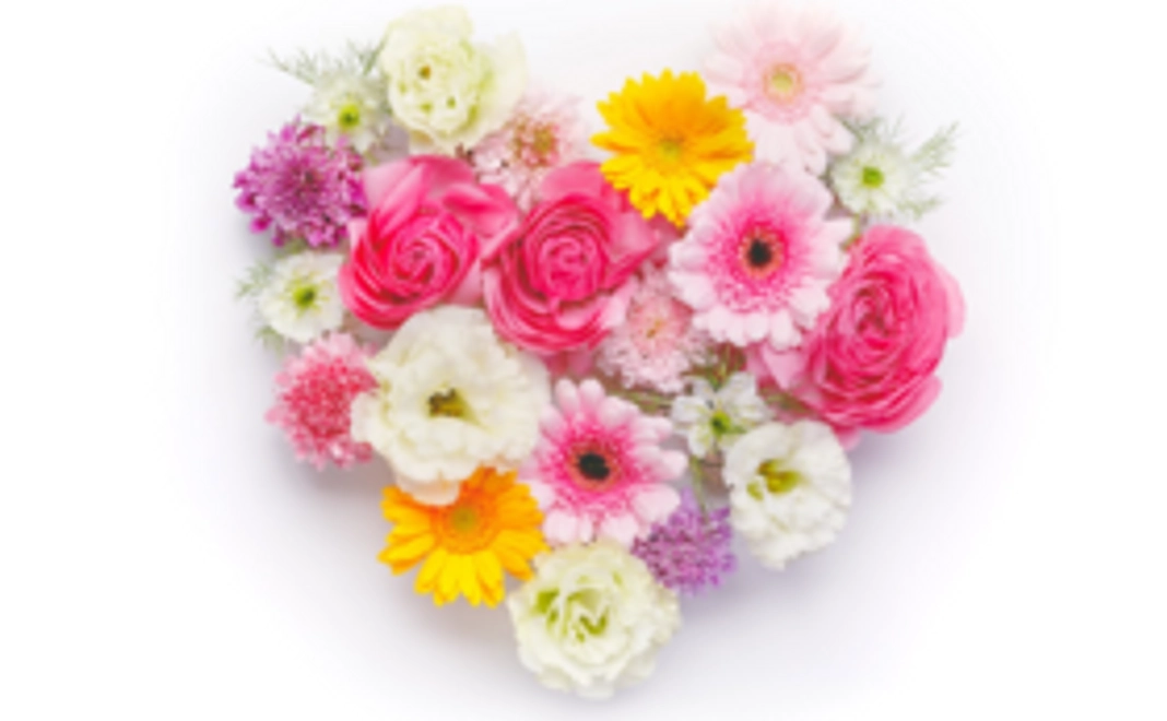 支援をして下さる方へ、感謝の気持ちを込めて