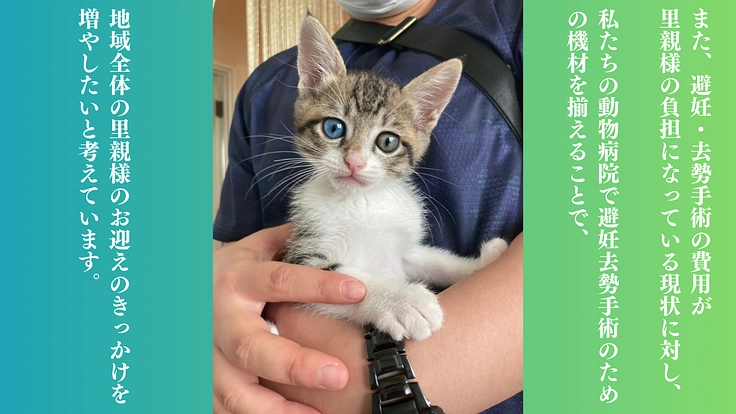 救う命を選ばない。どんな犬猫も保護し続け福岡の里親さんを増やしたい 5枚目