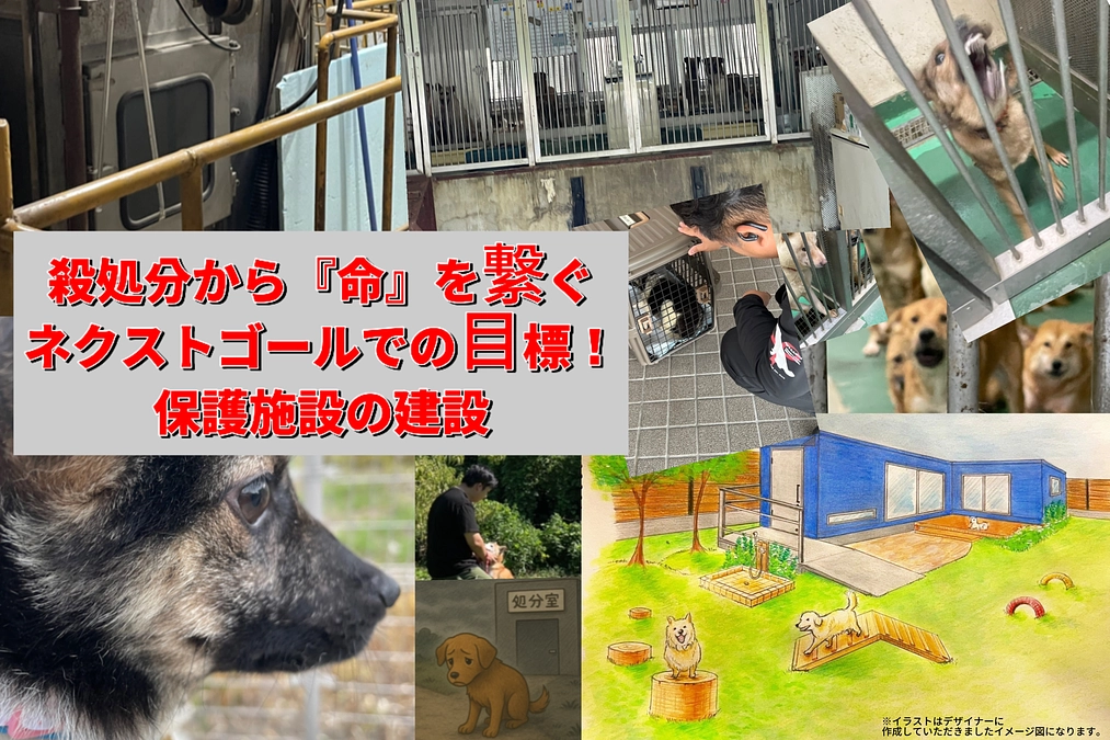 『命』を繋ぐ場所を…