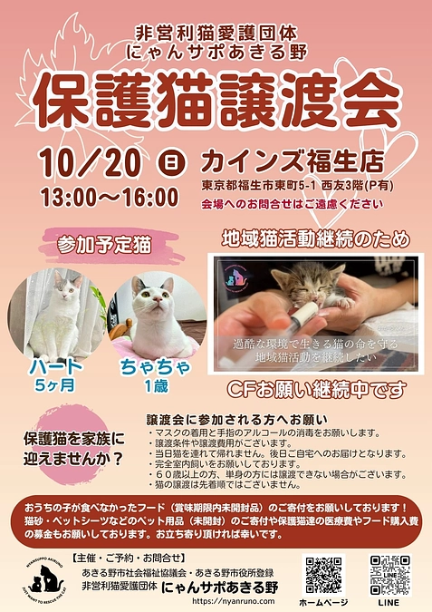 本日カインズ西友福生店にて譲渡会のお知らせです