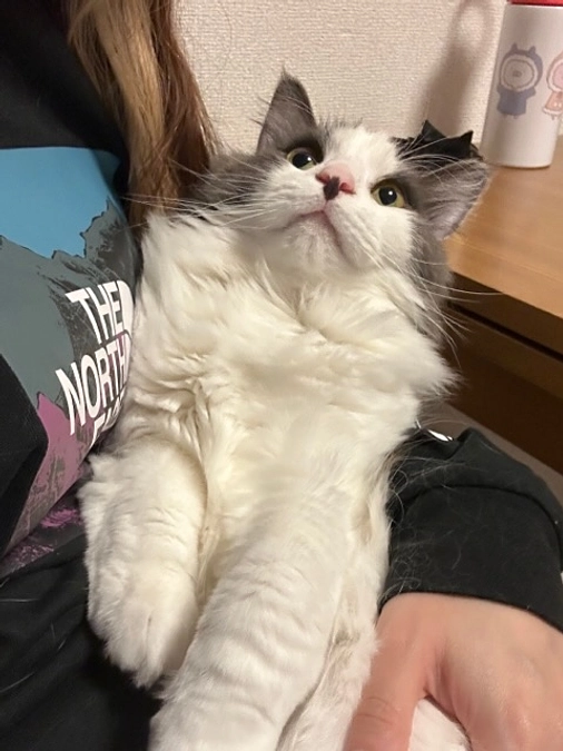 諦めず頑張ります💪