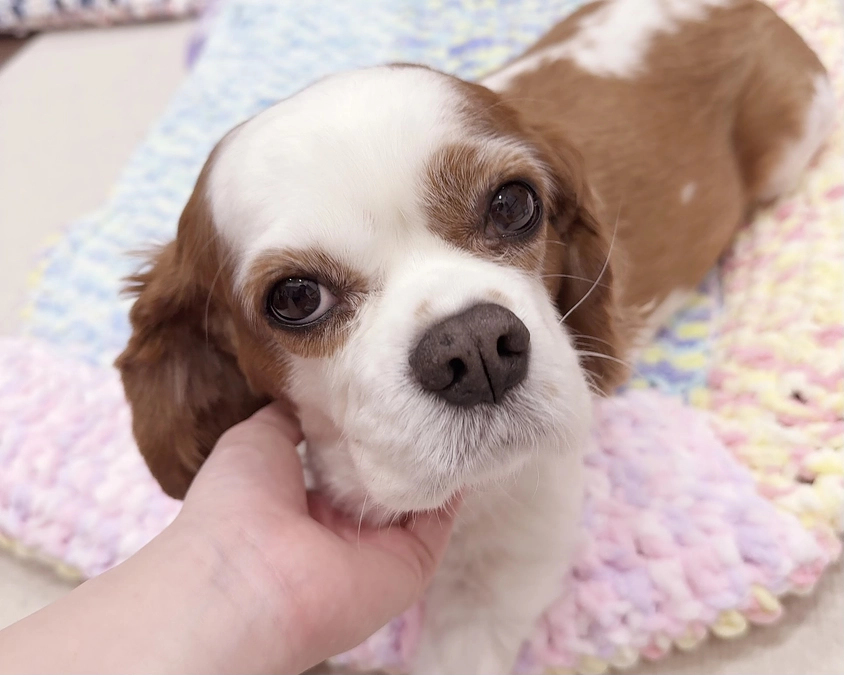 毎日ありがとうございます！【5日目】