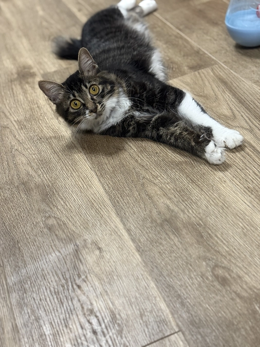 本日で投薬39日目です💊