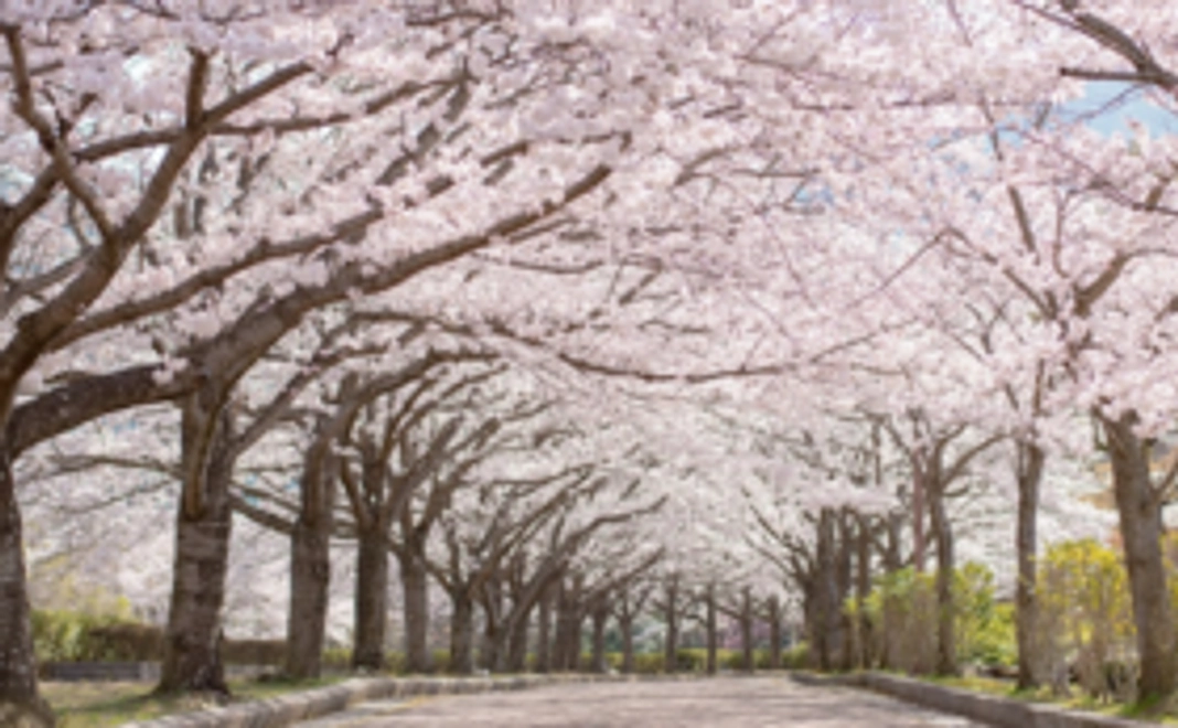 10コースからお好きなプランが選べるツアー旅行