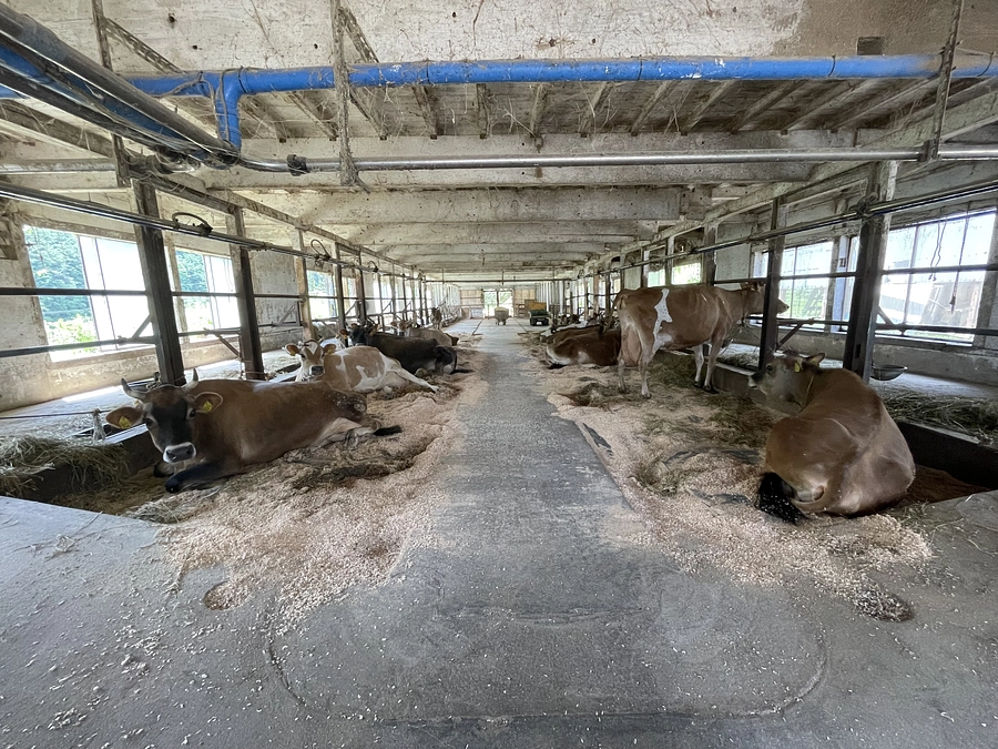 お知らせとお願い🙇‍♀️