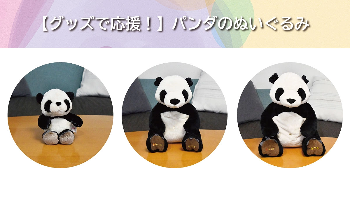 リターンのご紹介【グッズで応援！】パンダのぬいぐるみ＜小・中・大＞