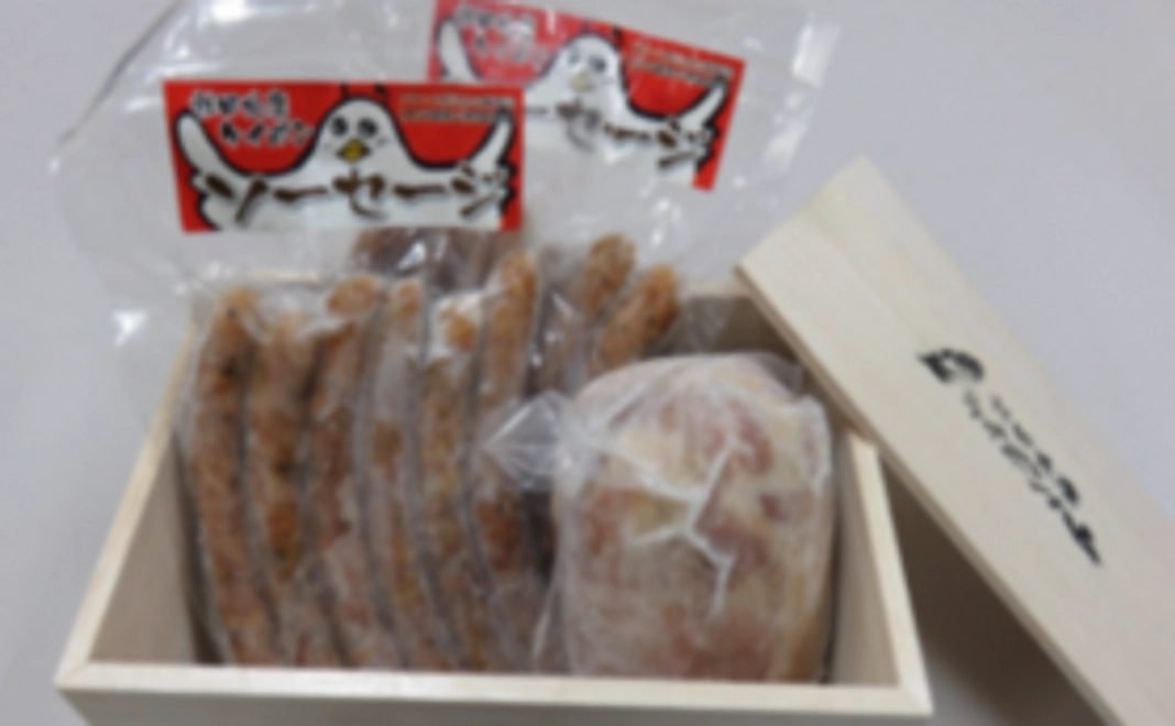 【高校生たちの想いが詰まった実食コースA】ハムとソーセージ