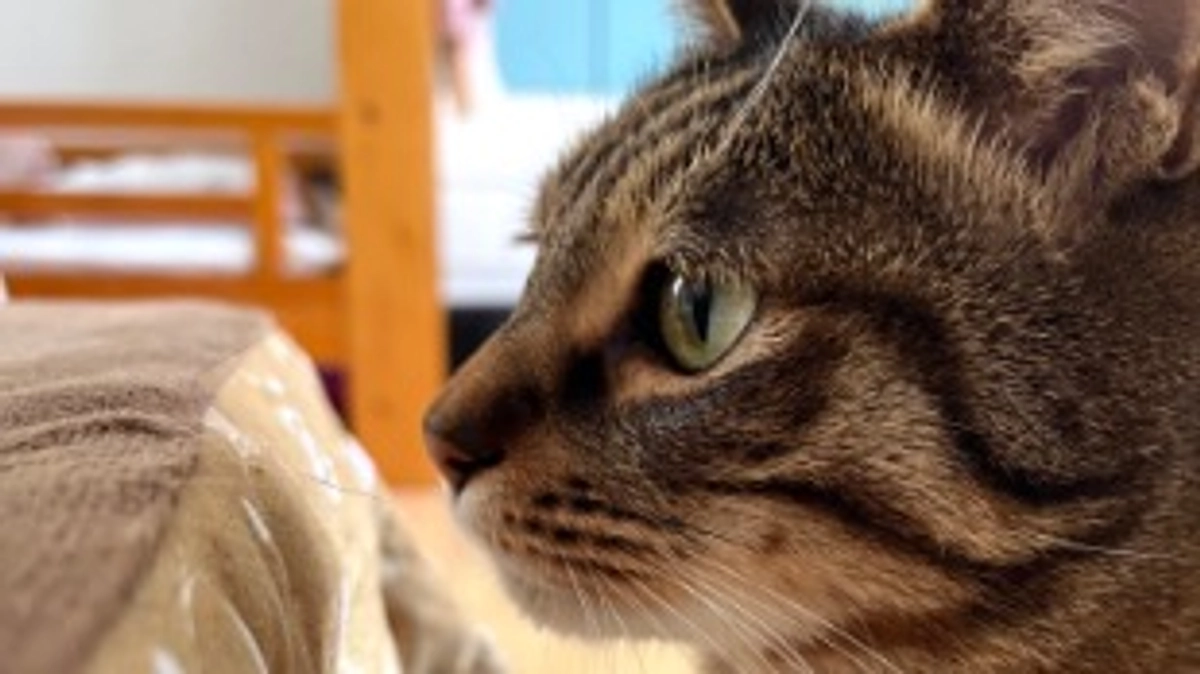 【今日のなっちゃん】6月10日