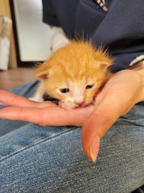 悲しいですが、報告いたします。