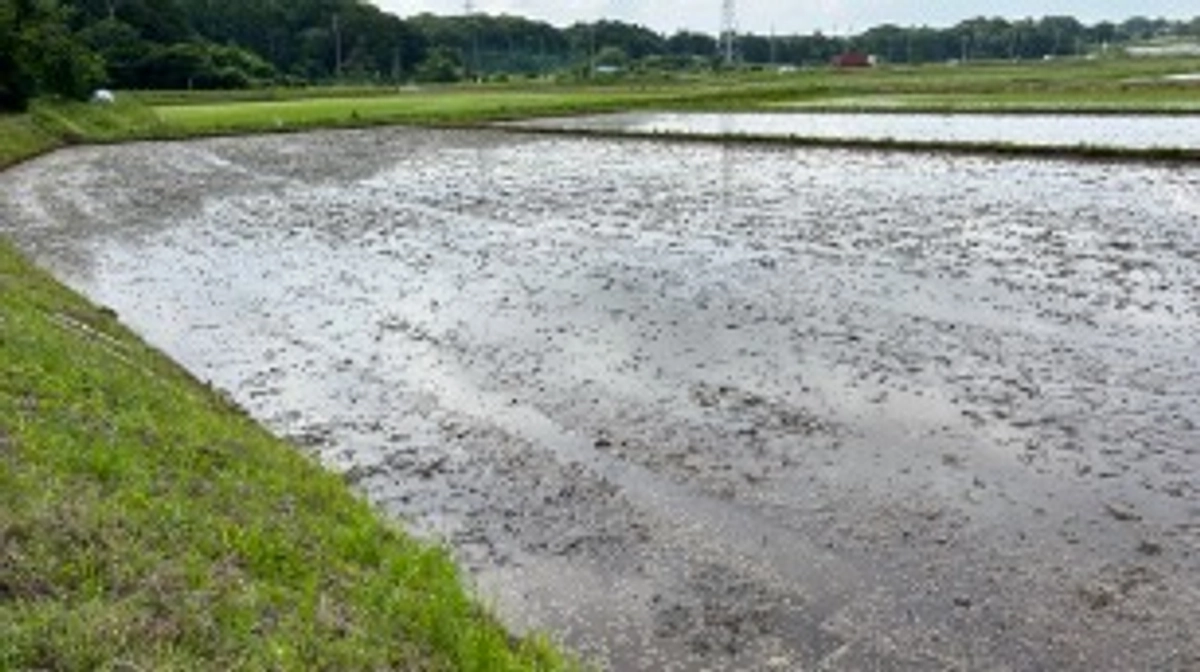 講演会スタートと同時に種まきもスタート
