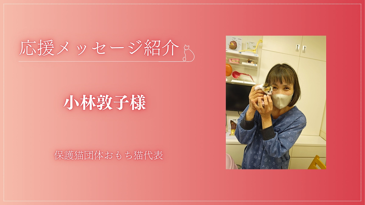 【応援メッセージが届きました！】保護猫団体おもち猫 代表 小林敦子様