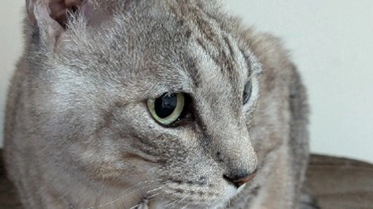 １０／１７　抗がん剤治療