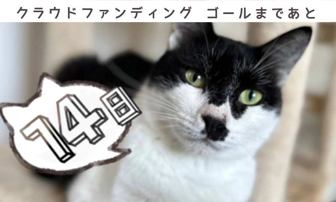 クラウドファンディング残り14日‼️