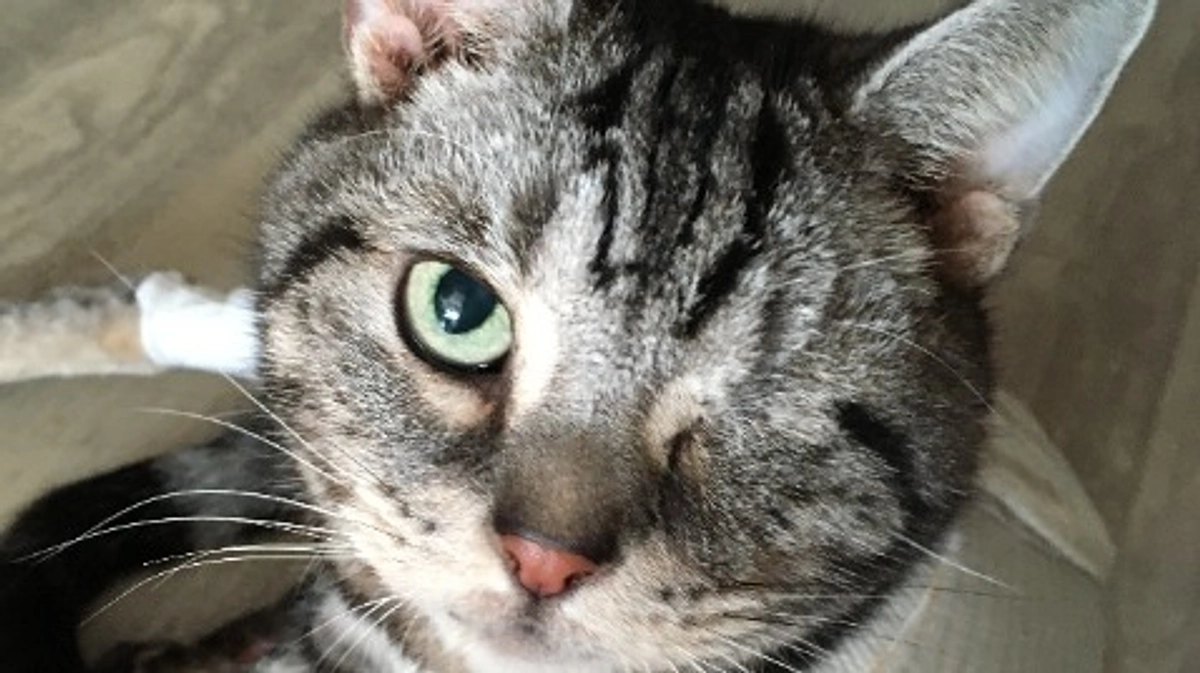 無事、クラウドファンディング達成出来ました！！