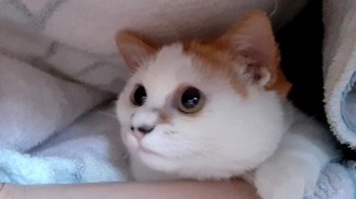 応援していただいた皆様へ