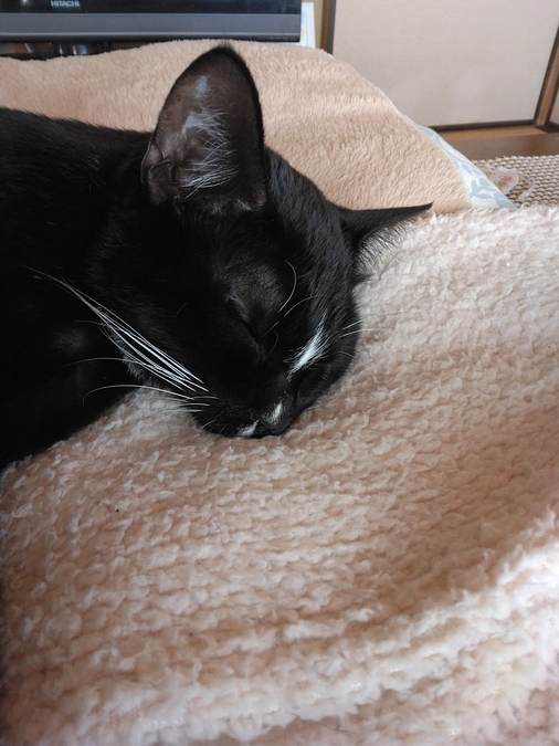 2/11はなちゃんの様子