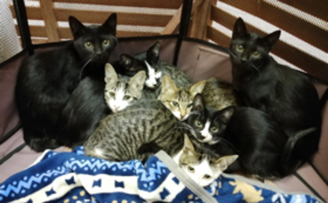 ご支援を全額再オープン費用に！（全額支援コース）