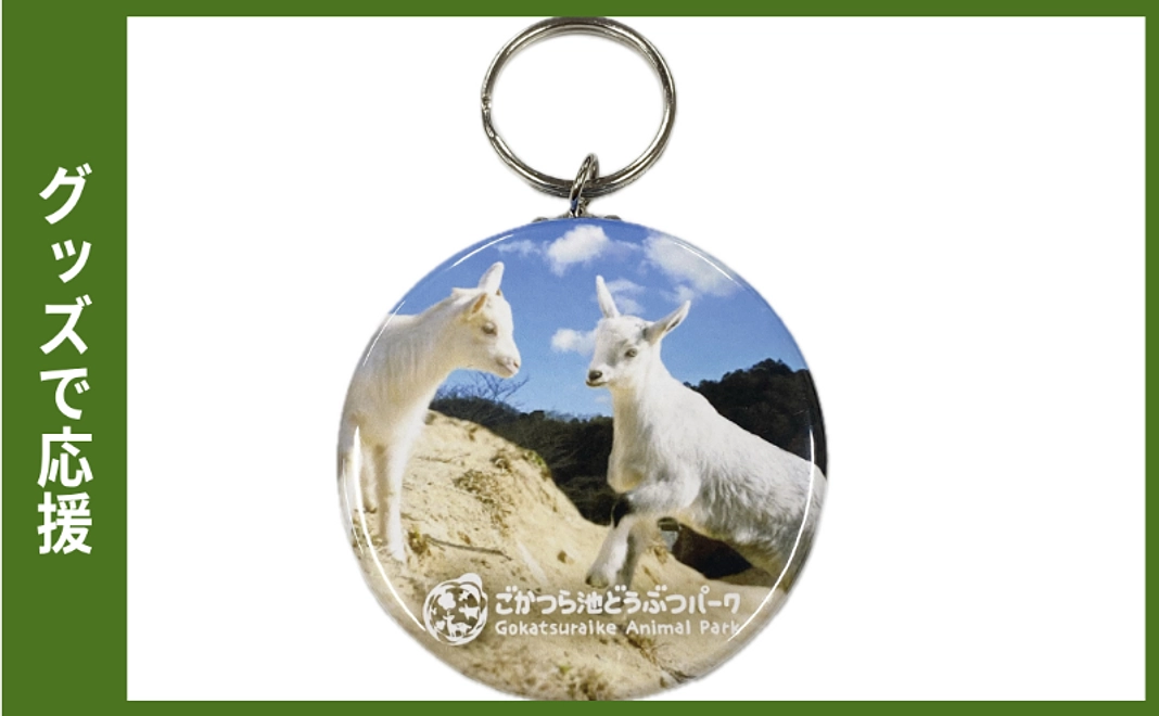 グッズで応援｜缶キーホルダー（仔ヤギ）