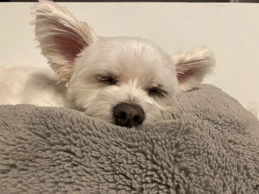 手術日を迎えました