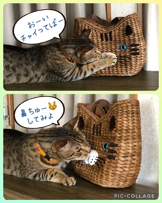 第二目標達成出来ました🙌