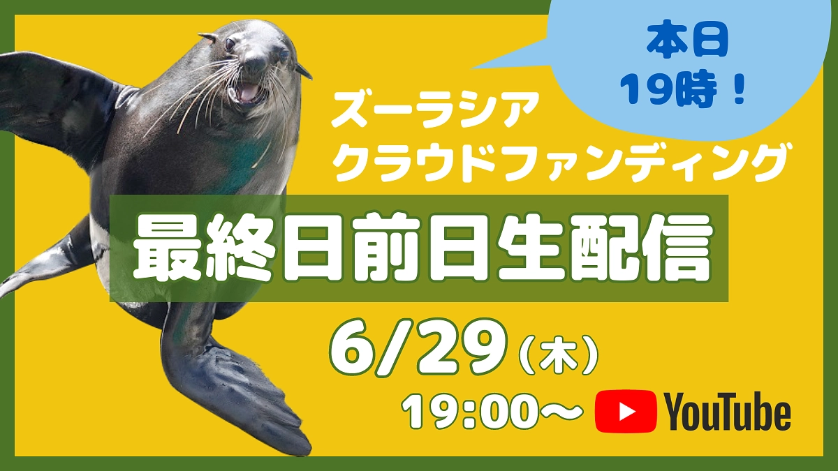 本日19時から！最終日前日ライブ配信です、ぜひご参加ください！