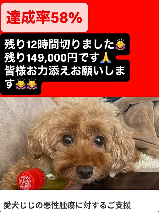 残り12時間切りました😭