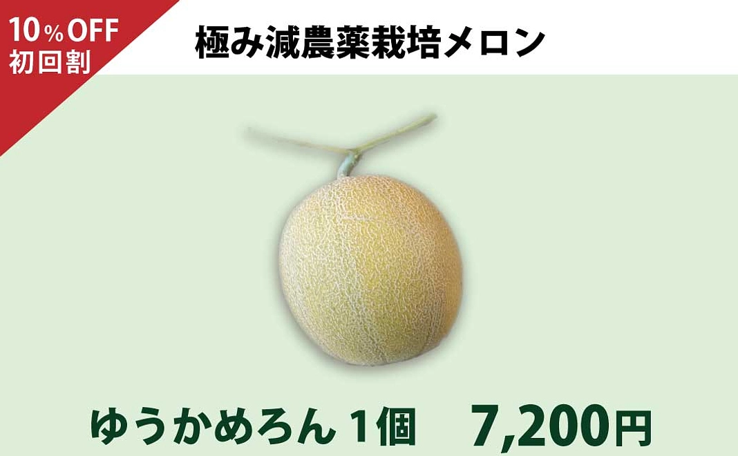 【初回割10%Off】極み減農薬　ゆうかめろん1個