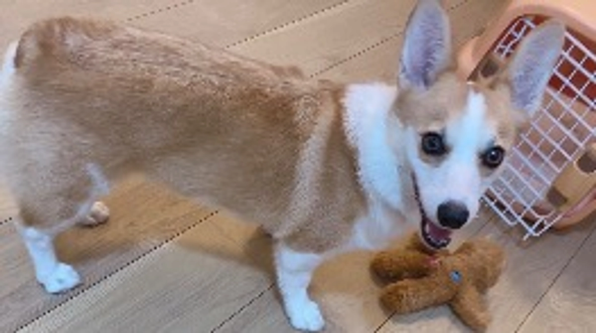 4回目の抗がん剤予定日！病院に行ってきました！