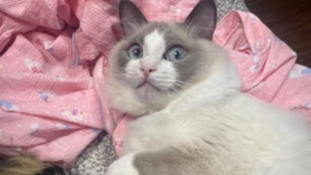 あと8日となりました！！