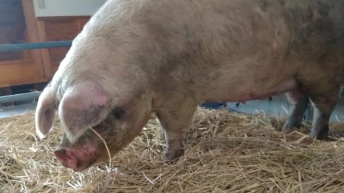 ともちゃん、３歩出た！ゆっくりゆっくり、変化してます