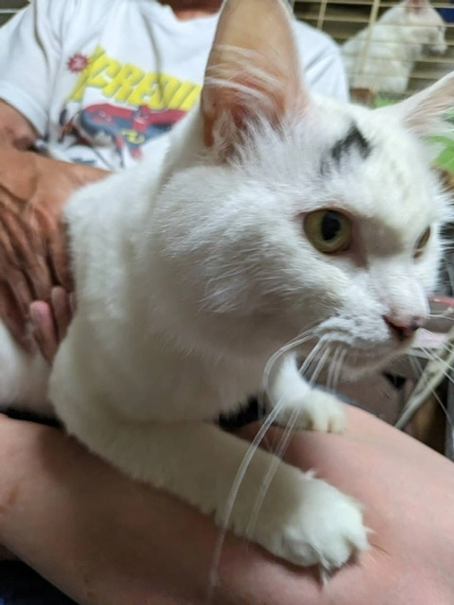 経過観察24日目